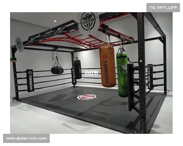 拳击器材企业区域分布情况，重点省市产量占比分析